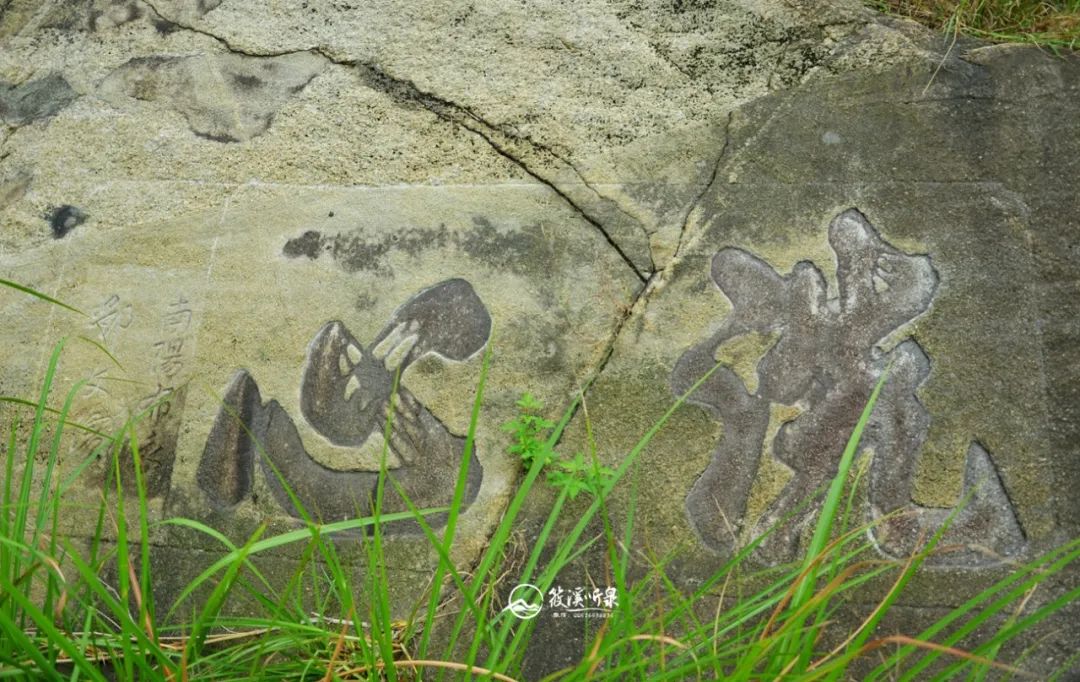 禅隐西山下——四祖寺的禅修生活